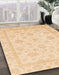 Abstract Brown Gold Oriental Rug in Family Room, abs3815