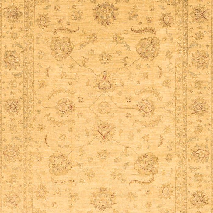 Oriental Brown Traditional Rug, abs3818brn