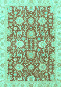 Oriental Turquoise Traditional Rug, abs3823turq