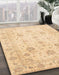 Abstract Brown Gold Oriental Rug in Family Room, abs3824