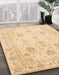 Machine Washable Abstract Brown Gold Rug in a Family Room, wshabs3824