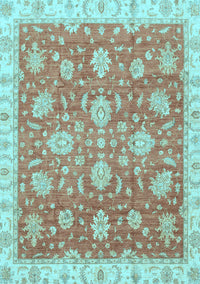 Oriental Light Blue Traditional Rug, abs3825lblu