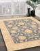 Abstract Camel Brown Oriental Rug in Family Room, abs3830