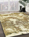 Machine Washable Abstract Light Brown Rug in a Family Room, wshabs3850