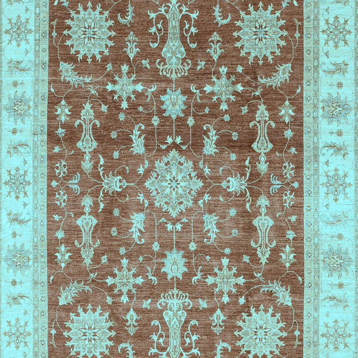 Oriental Light Blue Traditional Rug, abs3853lblu