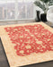 Abstract Bright Orange Oriental Rug in Family Room, abs3856