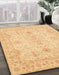 Abstract Orange Oriental Rug in Family Room, abs3862