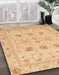 Machine Washable Abstract Orange Rug in a Family Room, wshabs3874