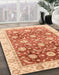 Machine Washable Abstract Orange Red Rug in a Family Room, wshabs3885