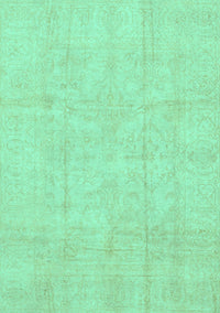 Oriental Turquoise Traditional Rug, abs3893turq