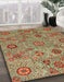 Abstract Copper Green Modern Rug in Family Room, abs3897