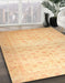 Abstract Orange Oriental Rug in Family Room, abs38