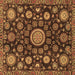 Square Oriental Brown Traditional Rug, abs3900brn