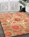 Machine Washable Abstract Red Rug in a Family Room, wshabs3904