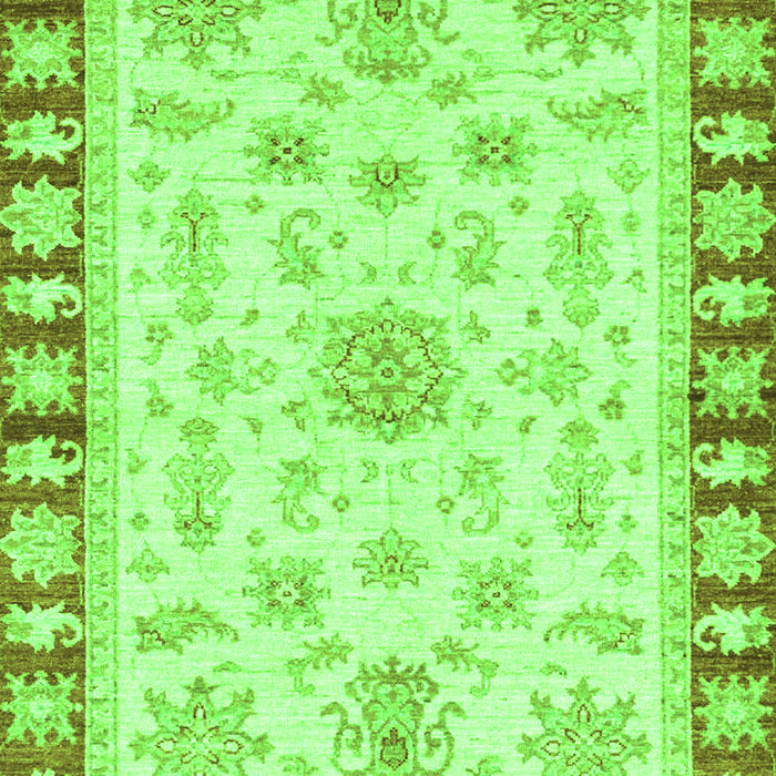 Oriental Green Traditional Rug, abs3923grn
