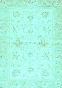 Oriental Light Blue Traditional Rug, abs3927lblu