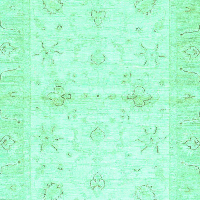 Oriental Turquoise Traditional Rug, abs3927turq