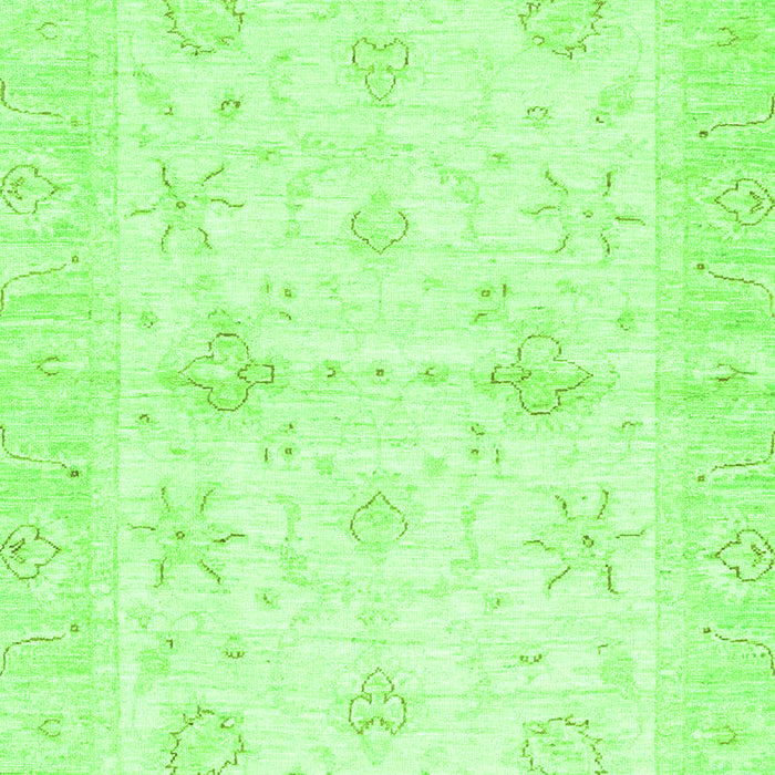 Oriental Green Traditional Rug, abs3927grn