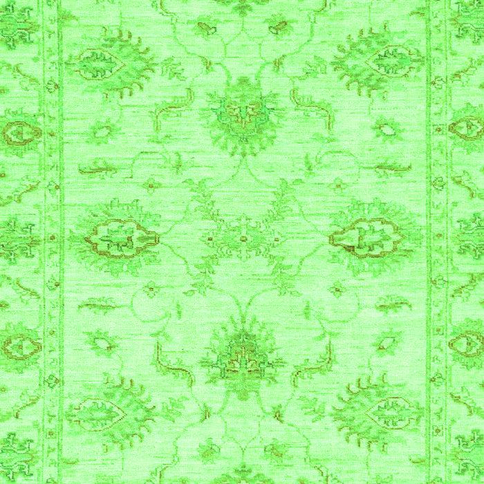 Oriental Green Traditional Rug, abs3930grn