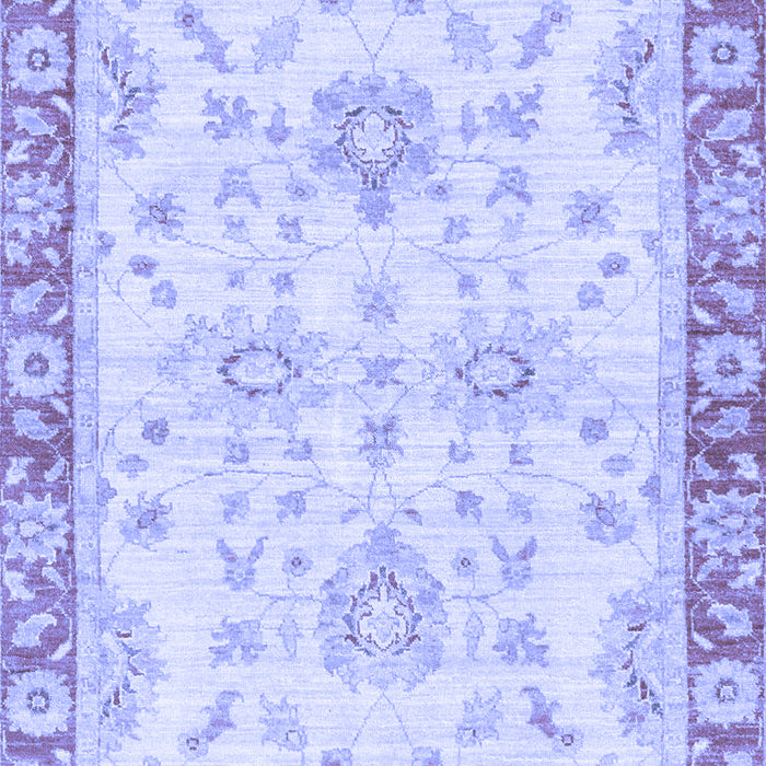 Oriental Blue Traditional Rug, abs3931blu