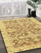 Machine Washable Abstract Cinnamon Brown Rug in a Family Room, wshabs3934