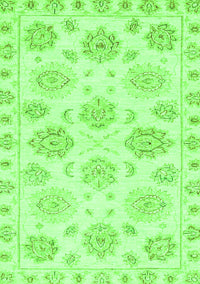 Oriental Green Traditional Rug, abs3942grn