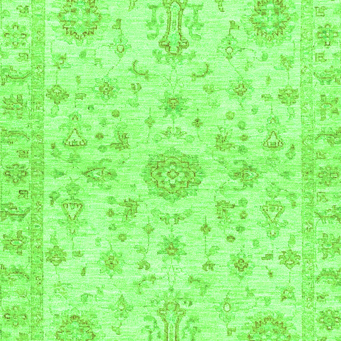 Oriental Green Traditional Rug, abs3943grn