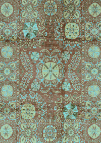 Oriental Light Blue Traditional Rug, abs3947lblu