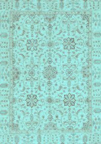 Oriental Light Blue Traditional Rug, abs3949lblu