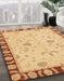 Machine Washable Abstract Orange Rug in a Family Room, wshabs3950