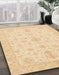 Abstract Brown Gold Oriental Rug in Family Room, abs3954