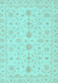 Oriental Light Blue Traditional Rug, abs3956lblu