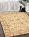 Abstract Orange Oriental Rug in Family Room, abs3957