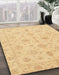 Machine Washable Abstract Mustard Yellow Rug in a Family Room, wshabs3963