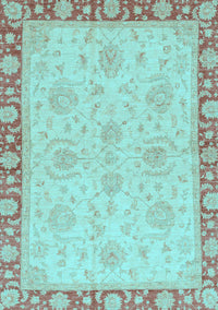 Oriental Light Blue Traditional Rug, abs3964lblu