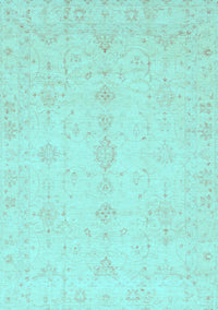 Oriental Light Blue Traditional Rug, abs3967lblu