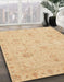 Machine Washable Abstract Yellow Rug in a Family Room, wshabs3974