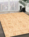 Machine Washable Abstract Orange Rug in a Family Room, wshabs3978