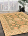 Abstract Cinnamon Brown Oriental Rug in Family Room, abs3984