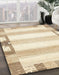 Machine Washable Abstract Brown Sand Brown Rug in a Family Room, wshabs398