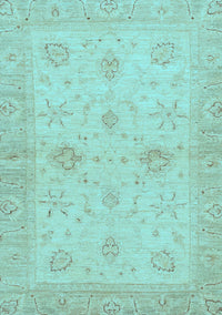 Oriental Light Blue Traditional Rug, abs3990lblu