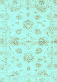 Oriental Light Blue Traditional Rug, abs3994lblu