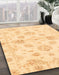 Machine Washable Abstract Brown Gold Rug in a Family Room, wshabs3994
