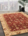 Machine Washable Abstract Red Rug in a Family Room, wshabs4001