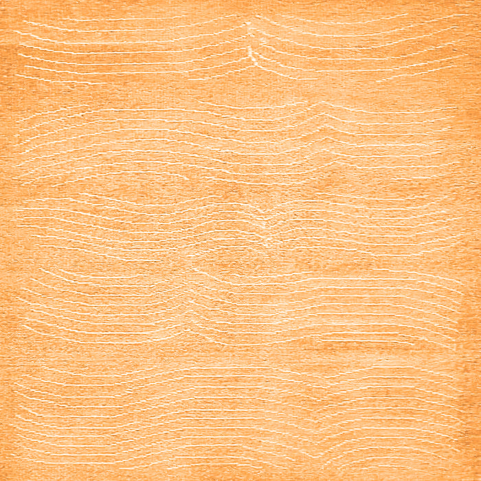 Square Machine Washable Solid Orange Modern Area Rugs, wshabs400org