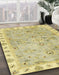 Machine Washable Abstract Brass Green Rug in a Family Room, wshabs4016