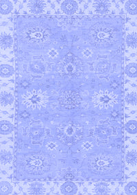 Oriental Blue Traditional Rug, abs4019blu