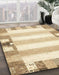 Machine Washable Abstract Gold Rug in a Family Room, wshabs401