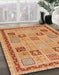 Abstract Orange Oriental Rug in Family Room, abs4036