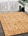 Abstract Orange Oriental Rug in Family Room, abs4040